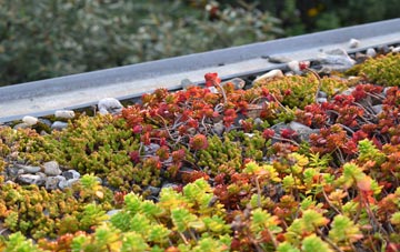the cost of Coxpark green roof installation