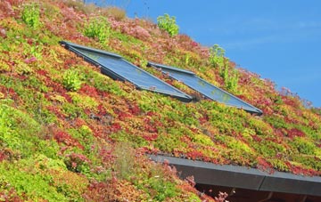Coxpark living roof systems